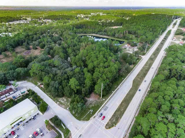 a view of a lush green forest with lots of trees