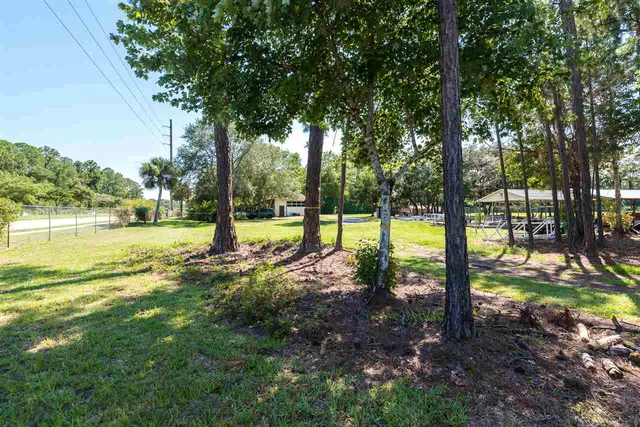a view of a park with large trees