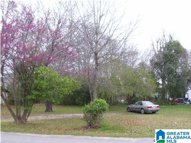 106 1st Street Clanton, AL 35045 - Photo 4 of 4