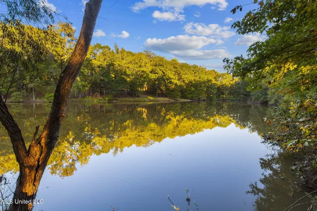 $725,000 | 19 Devonshire Way, Flora, MS 39071