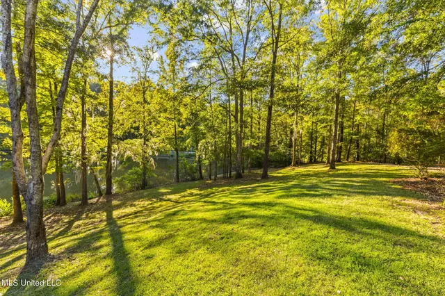 $725,000 | 19 Devonshire Way, Flora, MS 39071