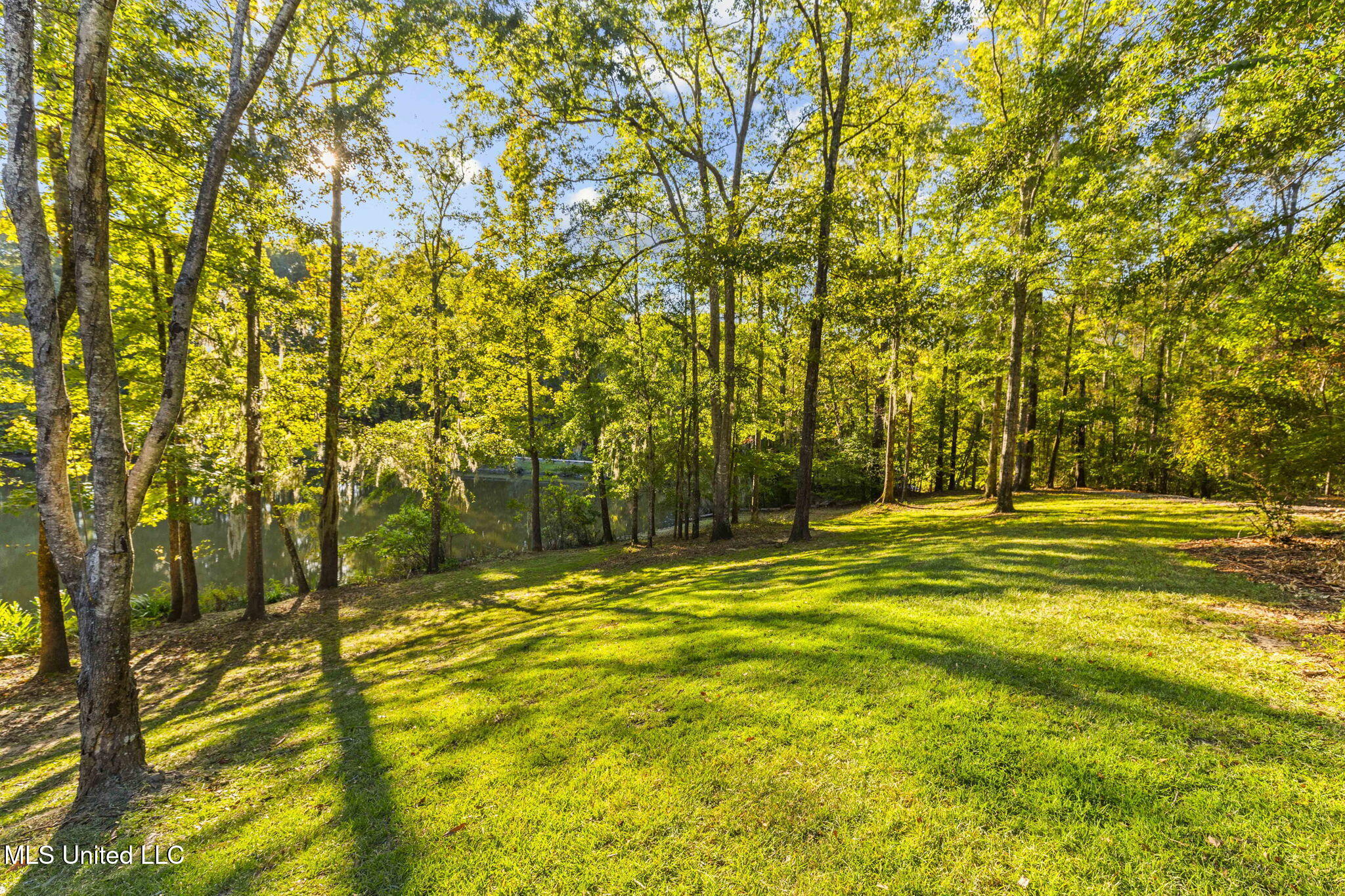 19 Devonshire Way Flora, MS 39071 - Photo 61 of 87 53-web-or-mls-19 Devonshire-53