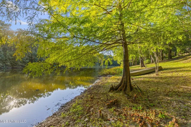 $725,000 | 19 Devonshire Way, Flora, MS 39071