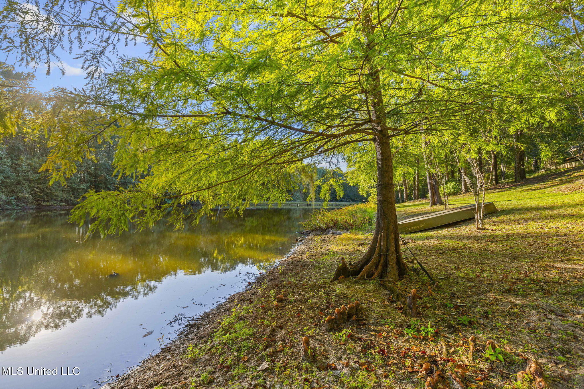 19 Devonshire Way Flora, MS 39071 - Photo 67 of 87 59-web-or-mls-19 Devonshire-59