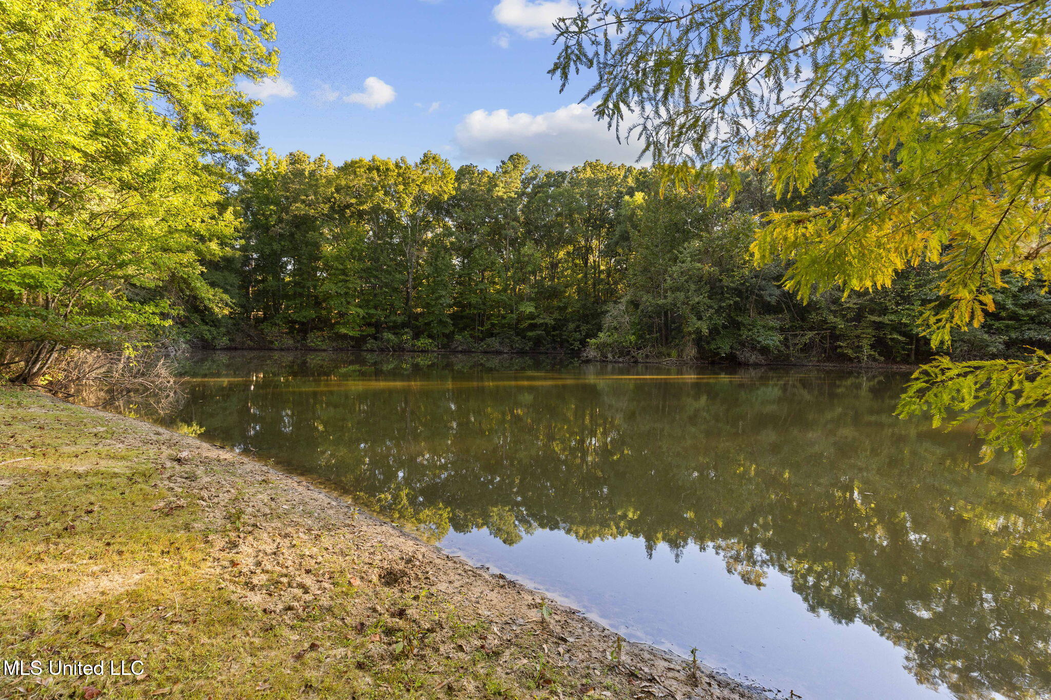 19 Devonshire Way Flora, MS 39071 - Photo 68 of 87 60-web-or-mls-19 Devonshire-60