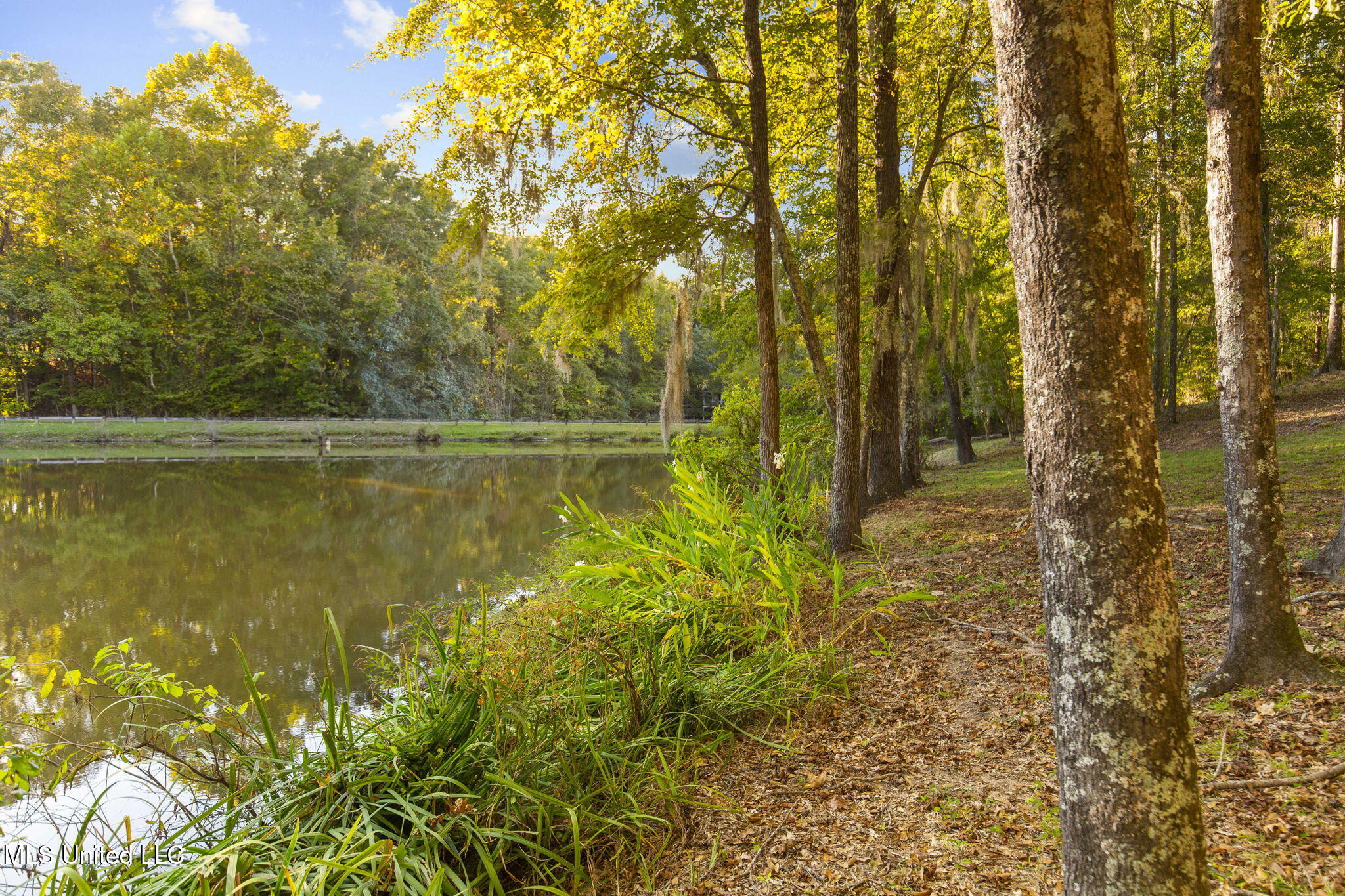 19 Devonshire Way Flora, MS 39071 - Photo 71 of 87 65-web-or-mls-19 Devonshire-65