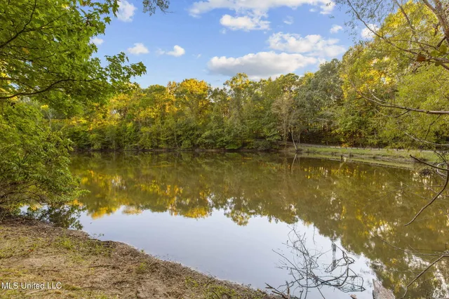 $725,000 | 19 Devonshire Way, Flora, MS 39071