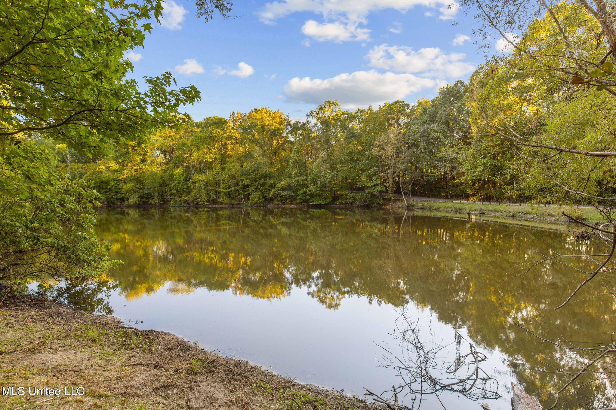19 Devonshire Way Flora, MS 39071 - Photo 73 of 87 67-web-or-mls-19 Devonshire-67