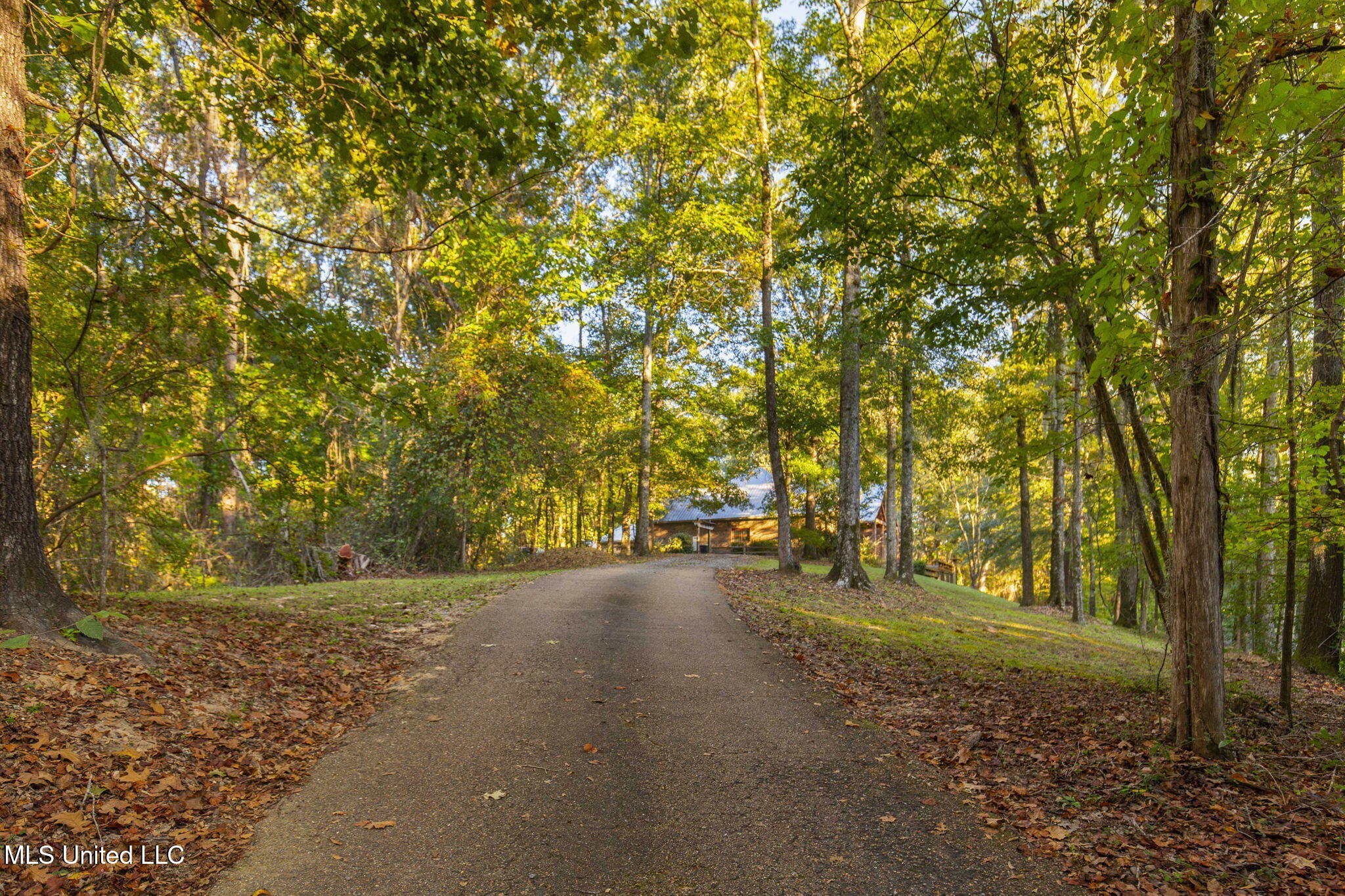 19 Devonshire Way Flora, MS 39071 - Photo 76 of 87 73-web-or-mls-19 Devonshire-73