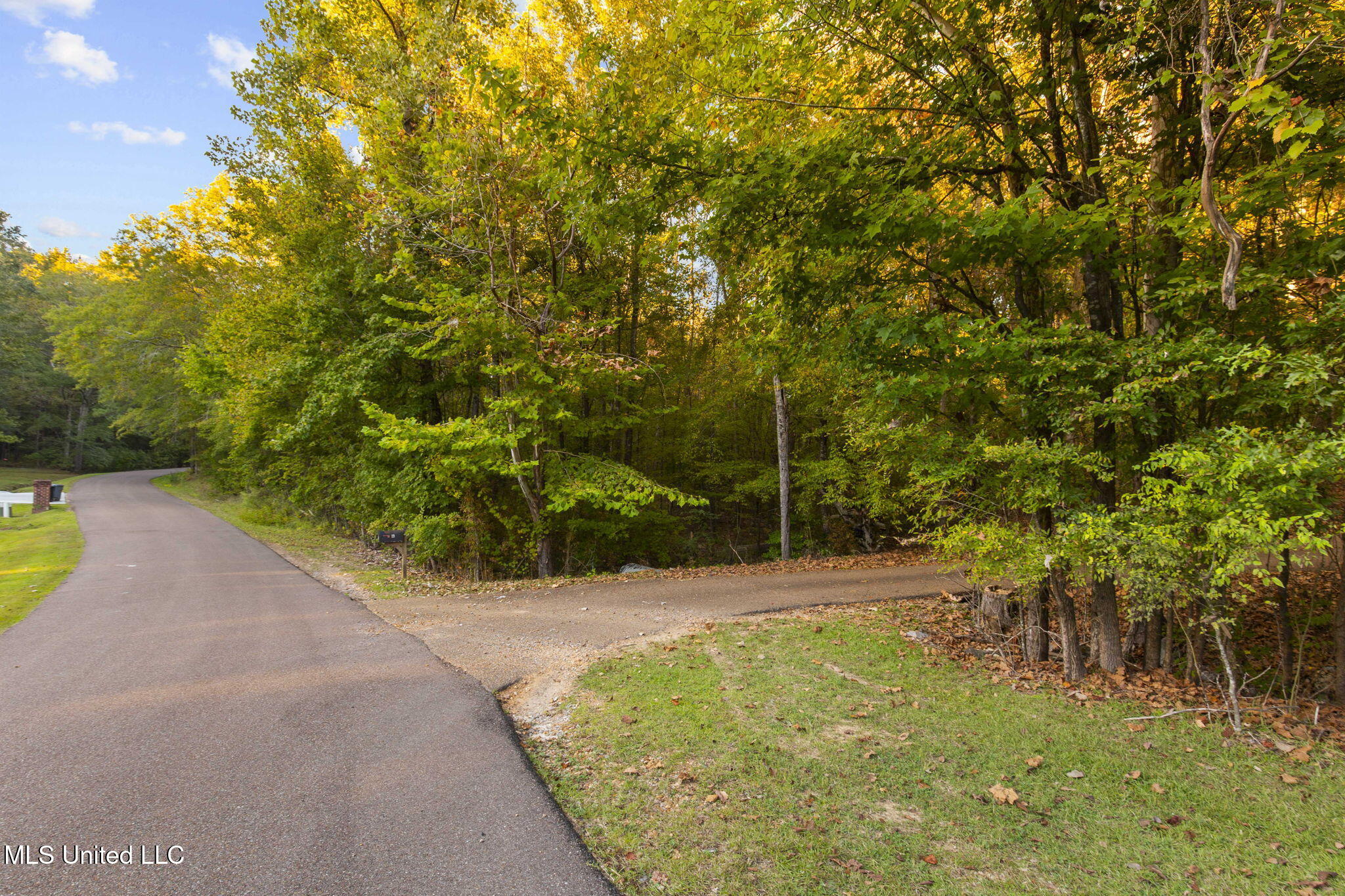 19 Devonshire Way Flora, MS 39071 - Photo 77 of 87 74-web-or-mls-19 Devonshire-74
