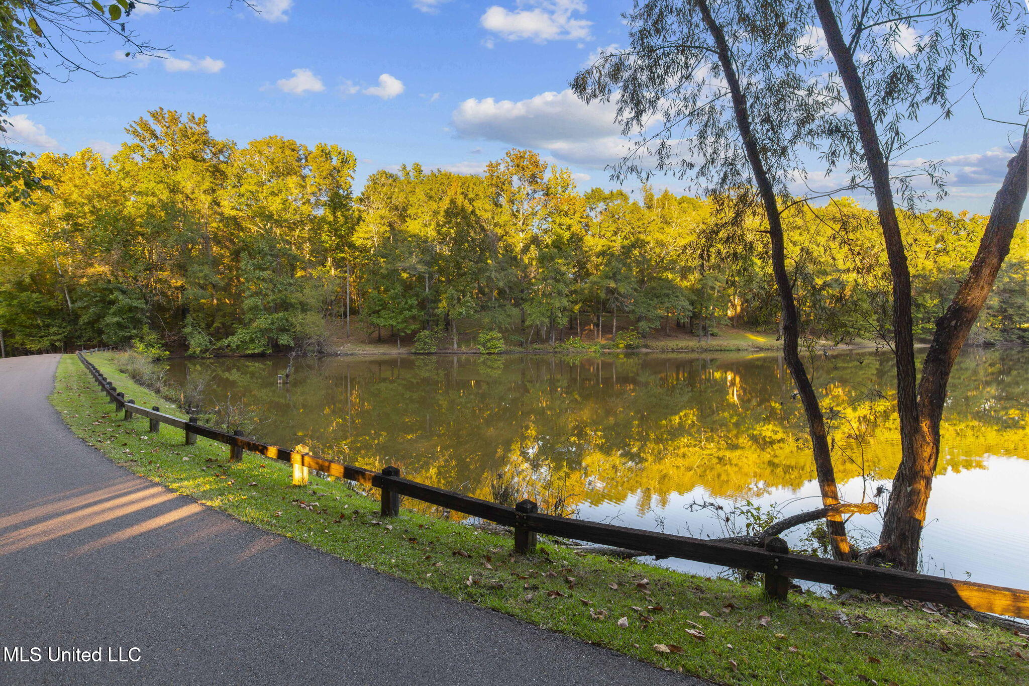 19 Devonshire Way Flora, MS 39071 - Photo 81 of 87 78-web-or-mls-19 Devonshire-78