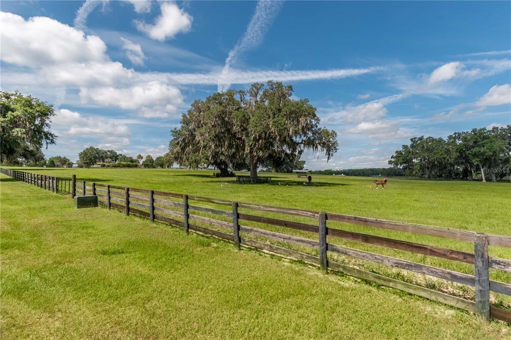 12520 Northwest 160th Street Reddick, FL 32686 - Photo 32 of 71