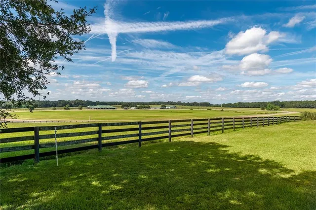 a view of house with a big yard and potted plants