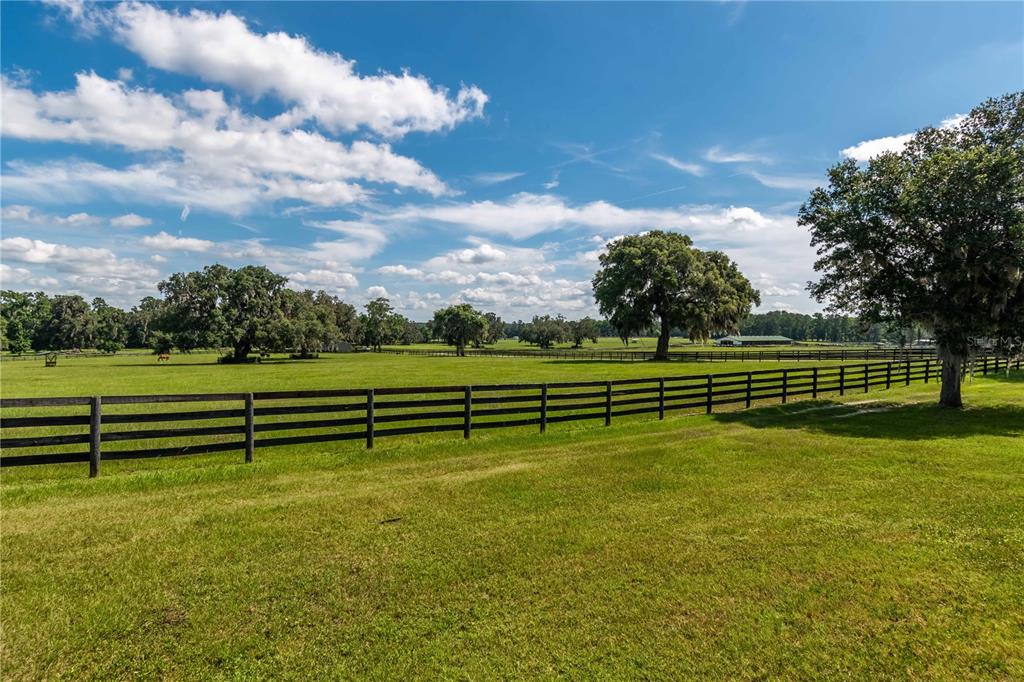 12520 Northwest 160th Street Reddick, FL 32686 - Photo 38 of 71