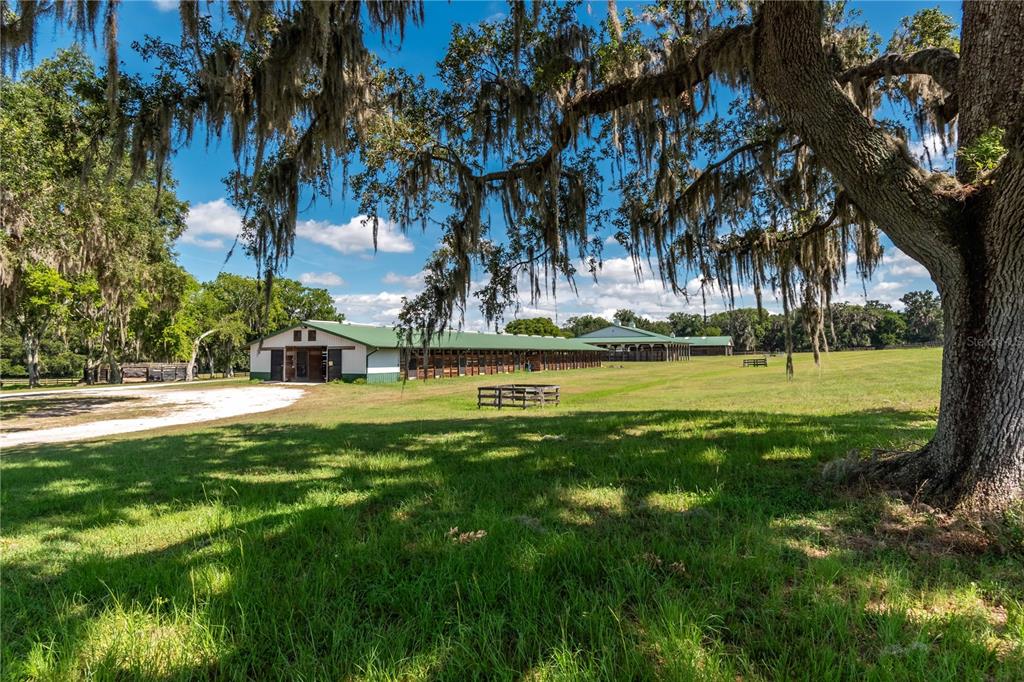 12520 Northwest 160th Street Reddick, FL 32686 - Photo 39 of 71 a view of a park with large trees