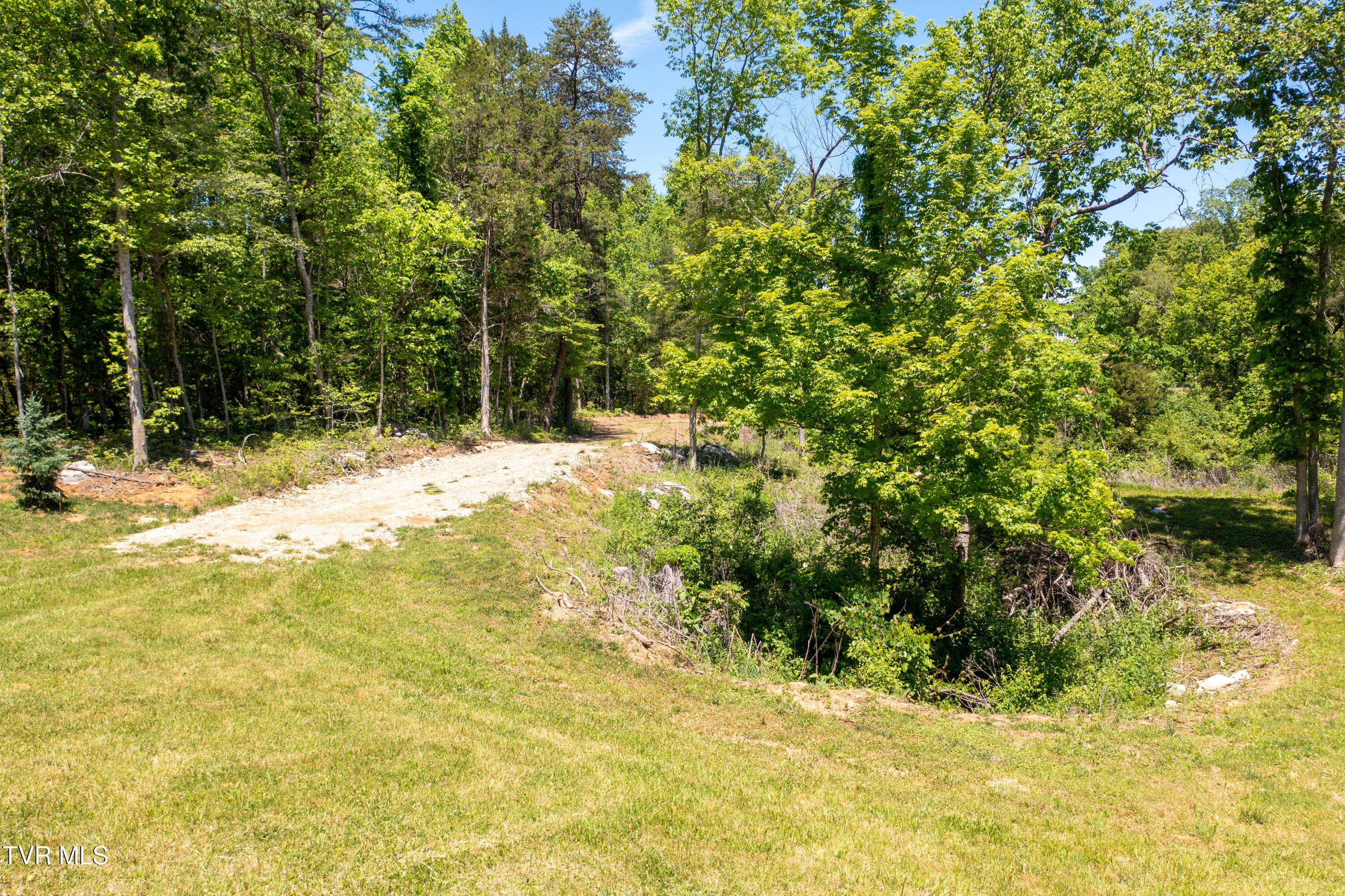 882 Walnut Grove Road Bluff City, TN 37618 - Photo 16 of 45 Walnut Grove Rd-13