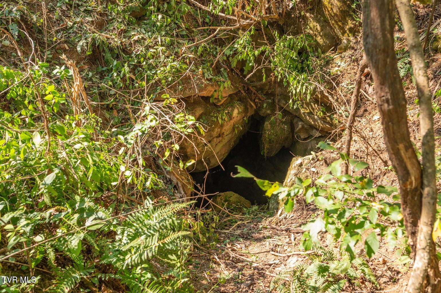 882 Walnut Grove Road Bluff City, TN 37618 - Photo 45 of 45 cave