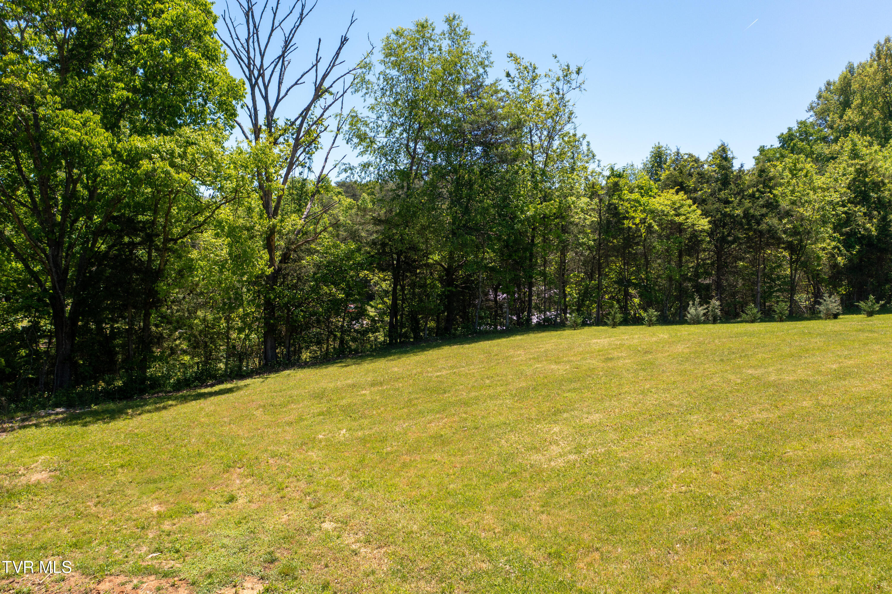 882 Walnut Grove Road Bluff City, TN 37618 - Photo 7 of 45 Walnut Grove Rd-4