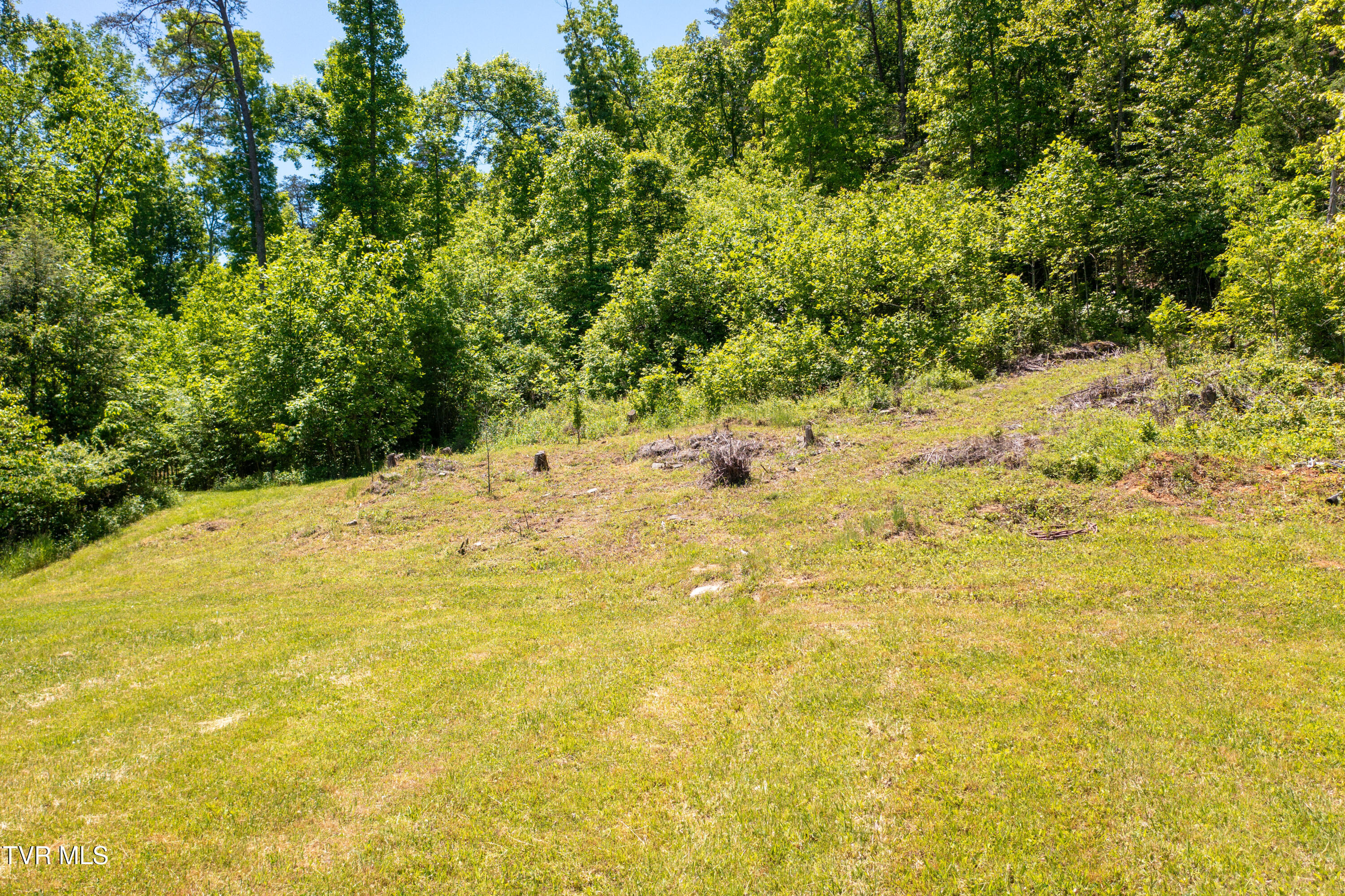 882 Walnut Grove Road Bluff City, TN 37618 - Photo 9 of 45 Walnut Grove Rd-6