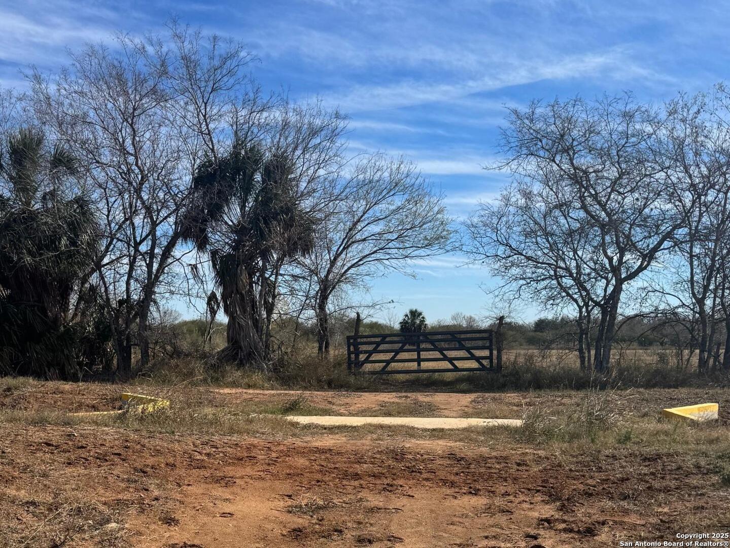 0 Wisdom Road Atascosa, TX 78002 - Photo 7 of 8 a view of dirt yard with a large tree