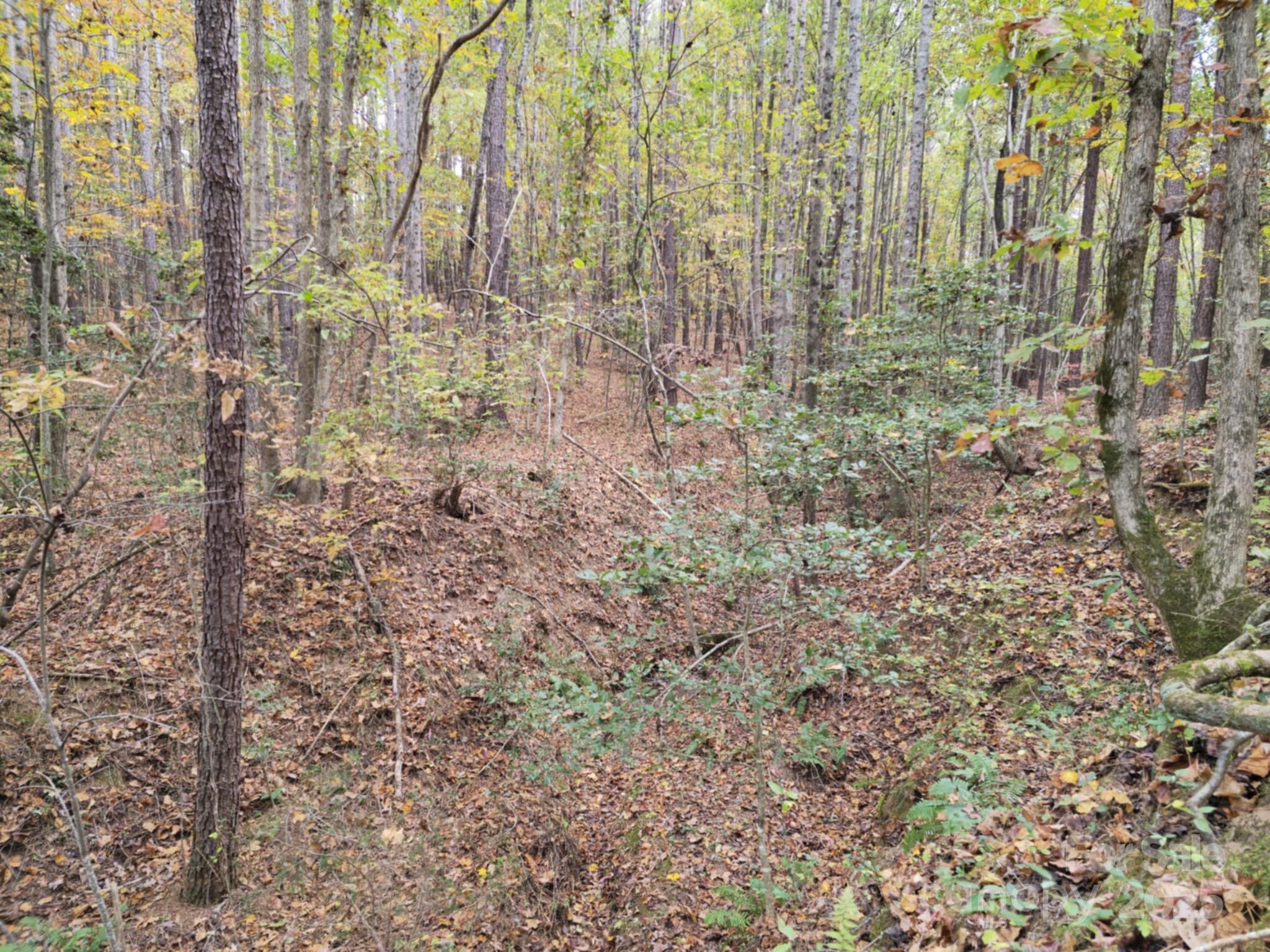Tbd West B Phindeck Road Bostic, NC 28018 - Photo 13 of 15