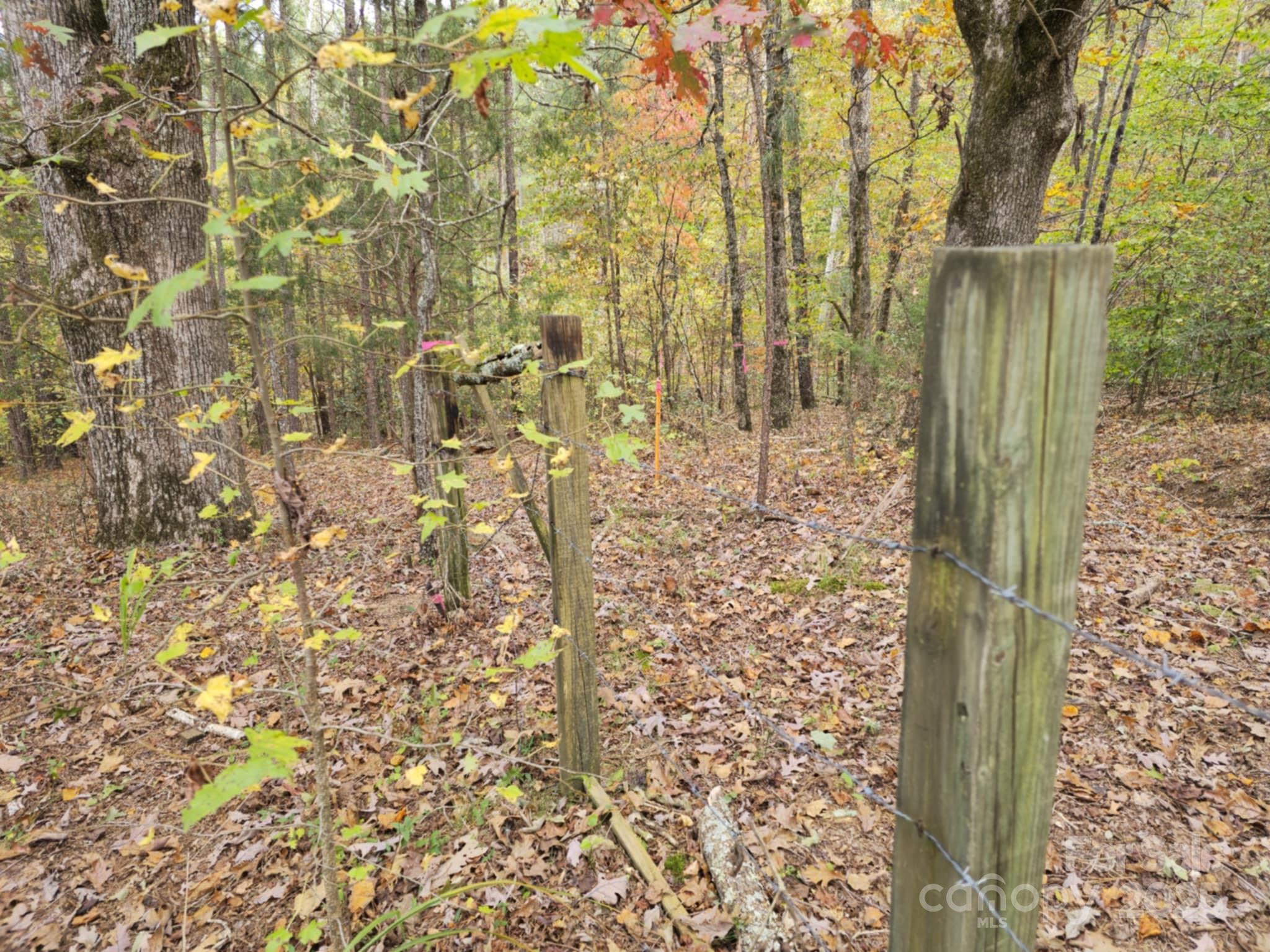 Tbd West B Phindeck Road Bostic, NC 28018 - Photo 3 of 15