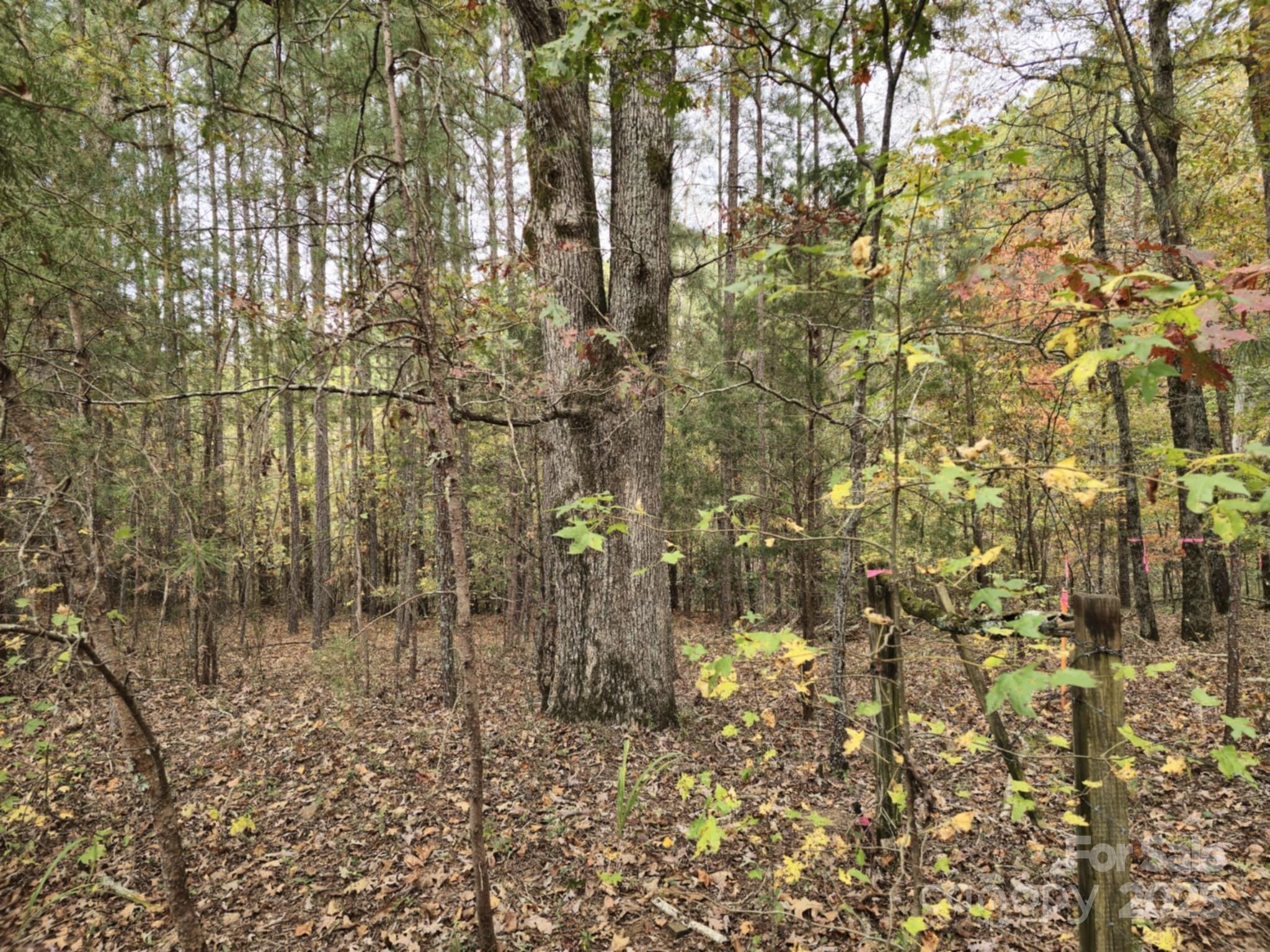 Tbd West B Phindeck Road Bostic, NC 28018 - Photo 4 of 15