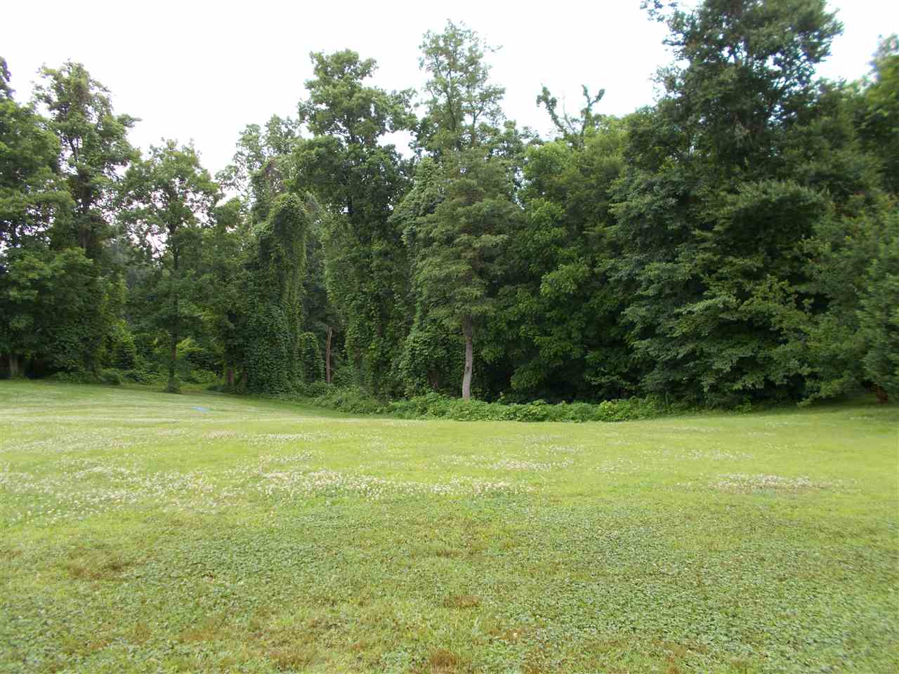 1366 Asbury Road Ripley, TN 38063 - Photo 25 of 25 Gallery Image 25