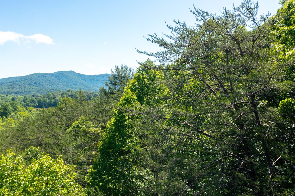 1380 Deerfield Road Young Harris, GA 30582 - Photo 33 of 35