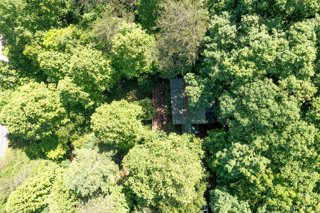 1380 Deerfield Road Young Harris, GA 30582 - Photo 34 of 35