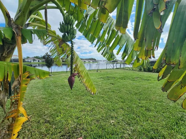 $2,495 | 915 Noble Run Drive, New Smyrna Beach, FL 32168