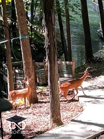 $539,000 | 6427 Buffalo Drive, Nineveh, IN 46164