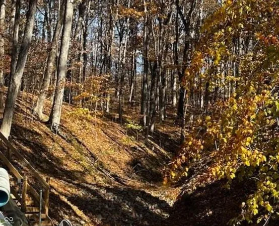 $539,000 | 6427 Buffalo Drive, Nineveh, IN 46164