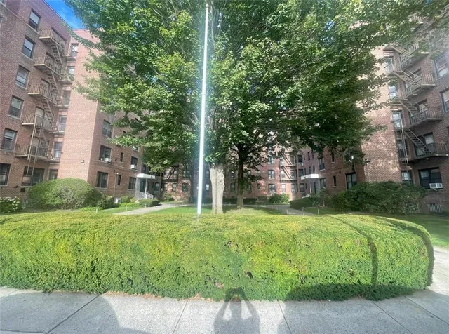 a view of a park with large trees