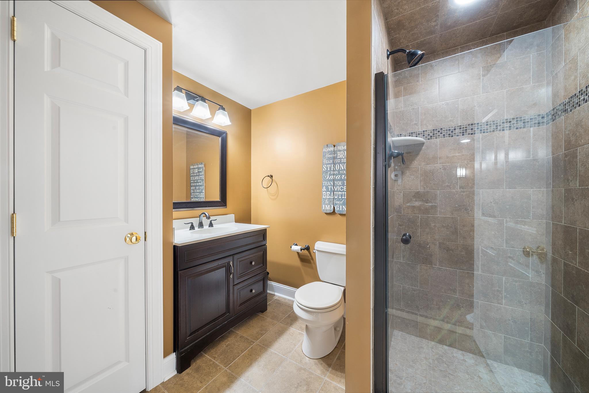 300 Trillium Lane Wayne, PA 19087 - Photo 45 of 52 LOWER LEVEL FULL BATHROOM