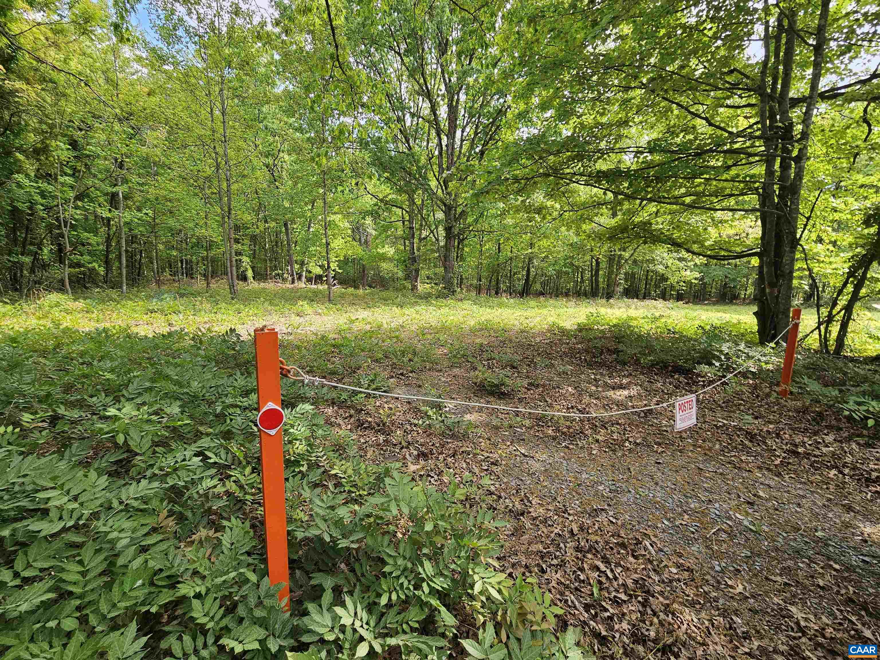 8.65-ac Pond Road Buckingham, VA 23921 - Photo 4 of 23 Gallery Image 4