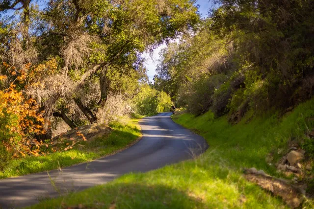 a view of a workspace with furniture and a large window