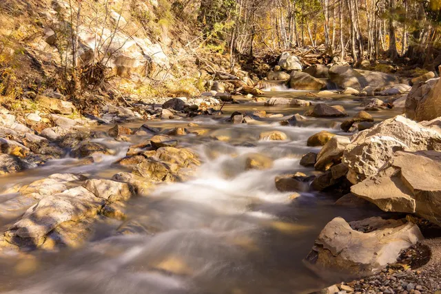 a room with wooden floor pool table and chairs