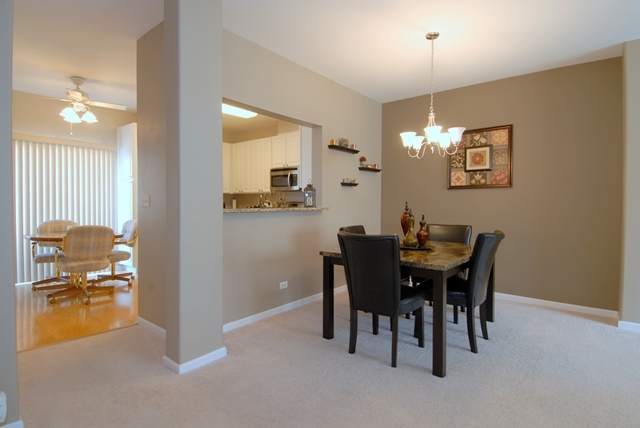 3455 Ravinia Circle Aurora, IL 60504 - Photo 5 of 18