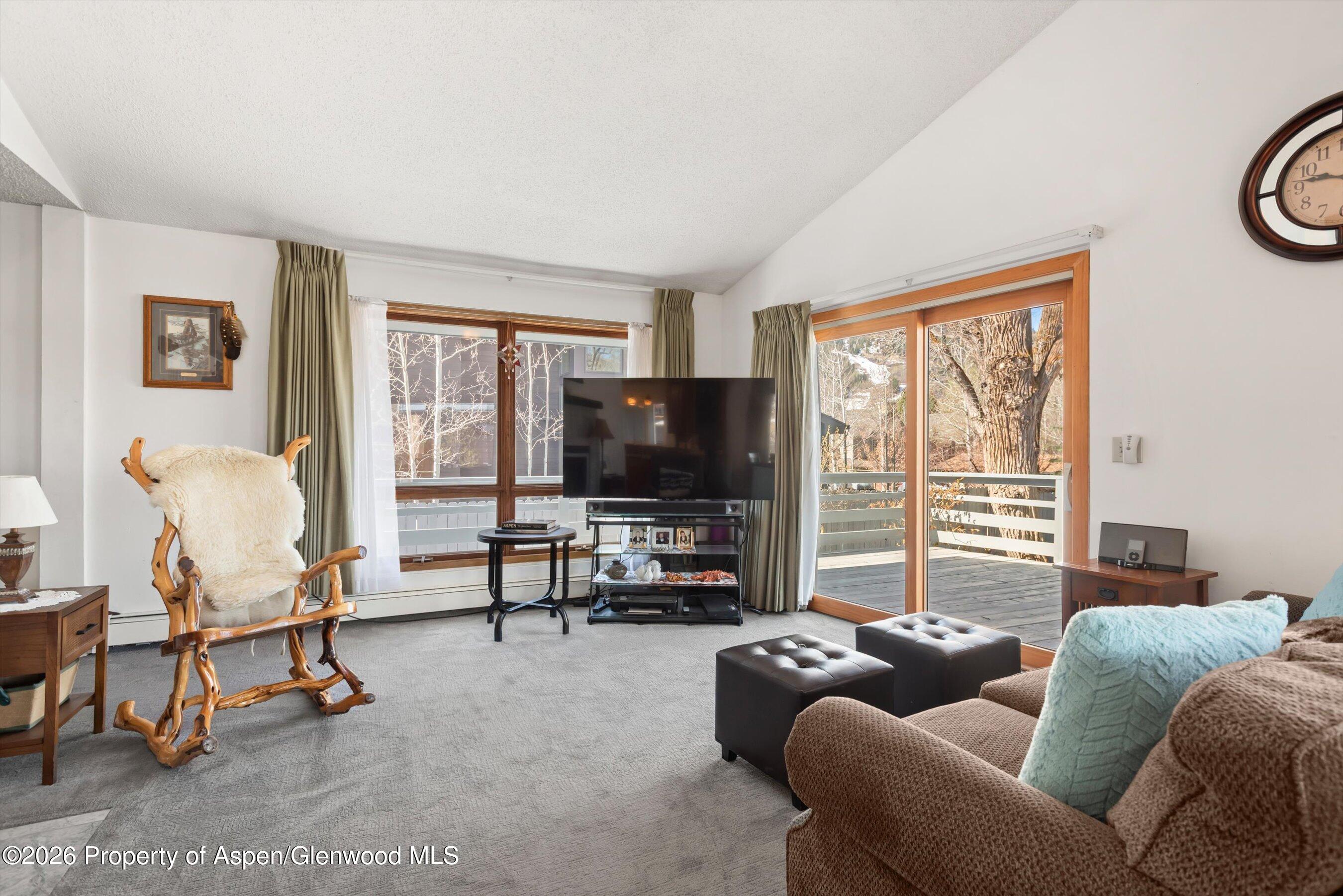 53 Spruce Street, Unit S 1 AND 2 Aspen, CO 81611 - Photo 4 of 67 03-03-534SpruceSt_250429003