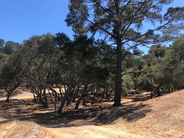 $895,000 | 7735 Paseo Venado, Monterey, CA 93940