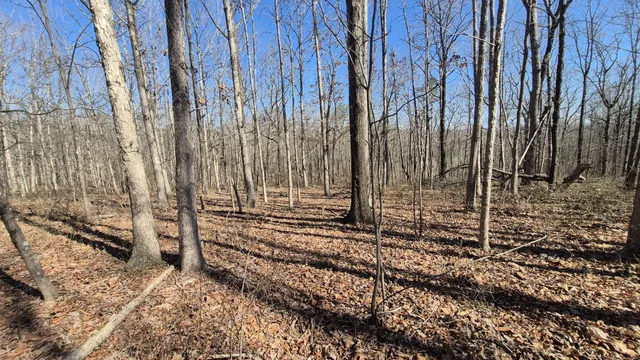 $65,800 | 61 Teludachee Trail, South Pittsburg, TN 37380