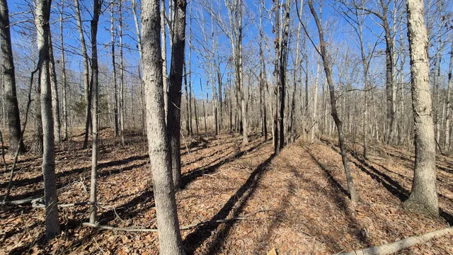 $65,800 | 61 Teludachee Trail, South Pittsburg, TN 37380