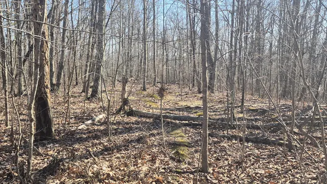 $65,800 | 61 Teludachee Trail, South Pittsburg, TN 37380