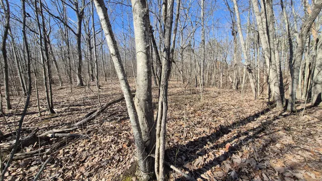 $65,800 | 61 Teludachee Trail, South Pittsburg, TN 37380