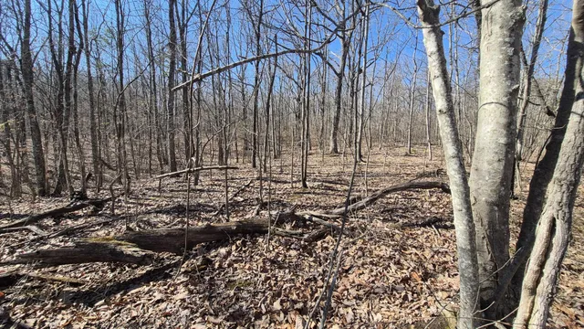 $65,800 | 61 Teludachee Trail, South Pittsburg, TN 37380