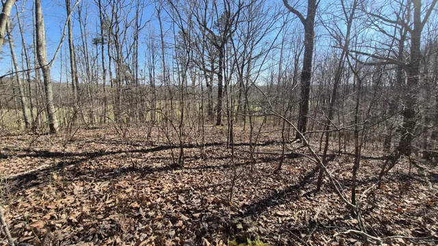 $65,800 | 61 Teludachee Trail, South Pittsburg, TN 37380