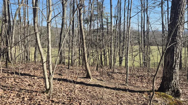 $65,800 | 61 Teludachee Trail, South Pittsburg, TN 37380