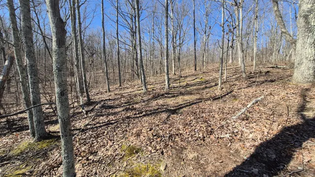 $65,800 | 61 Teludachee Trail, South Pittsburg, TN 37380