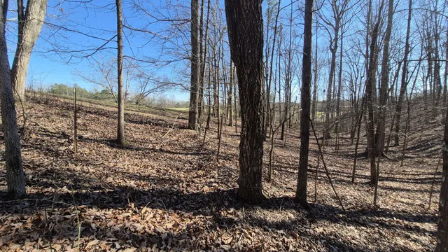 $65,800 | 61 Teludachee Trail, South Pittsburg, TN 37380